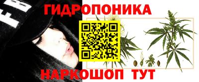 прущий лед Канаш