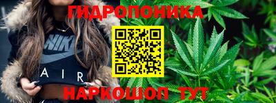 каннабис Камышлов