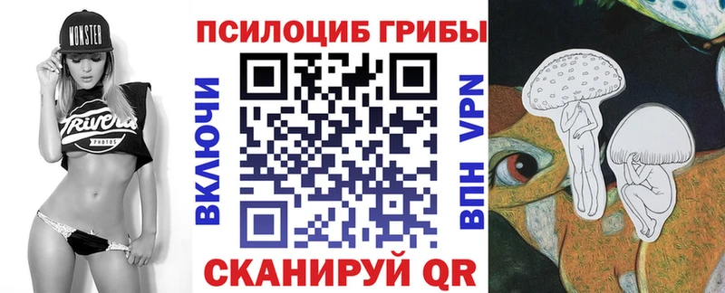 продажа наркотиков  Новочебоксарск  Псилоцибиновые грибы GOLDEN TEACHER 