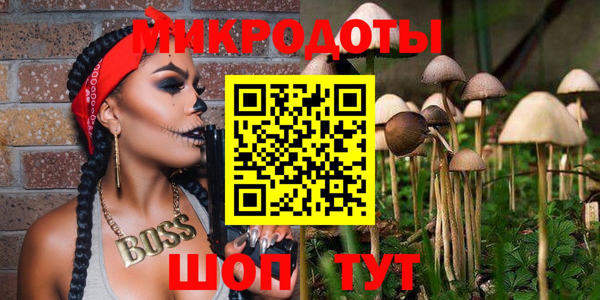 Галлюциногенные грибы GOLDEN TEACHER  Вход с VPN  Новочебоксарск 