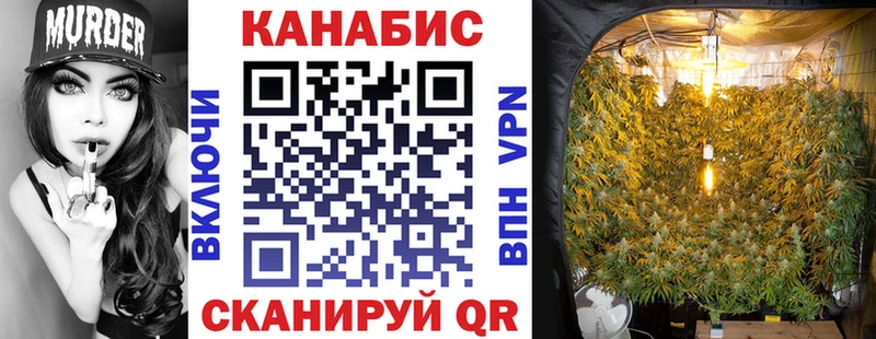 Бошки Шишки White Widow  наркота  Новочебоксарск 